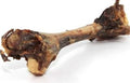 Dehydrated Kangaroo Femur Bones Individual