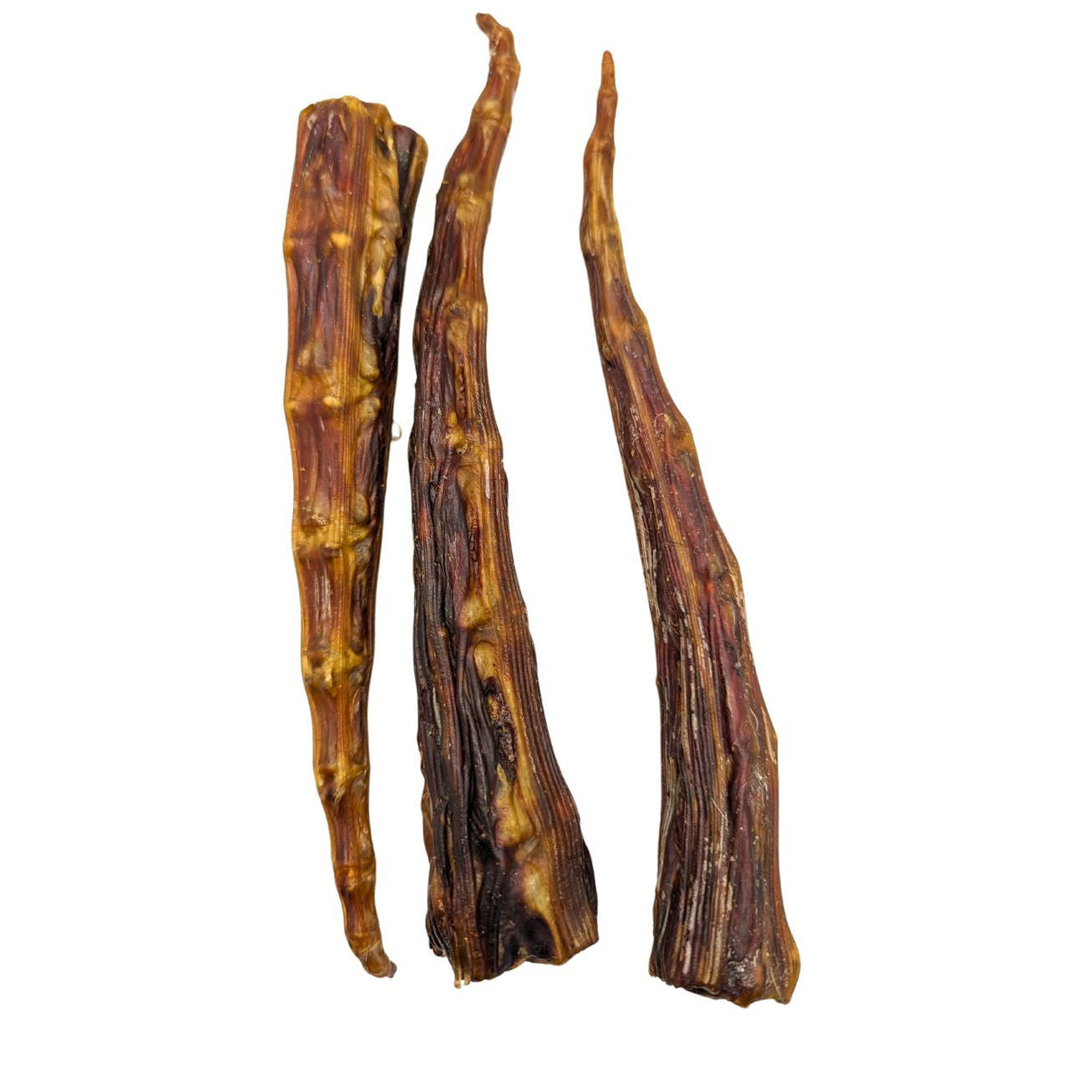 Dehydrated Kangaroo Tail Tip Individual