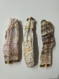Dehydrated Shark Cartilage wrapped in Ling skin Individual