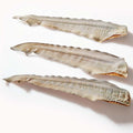 Dehydrated Shark Tail Individual