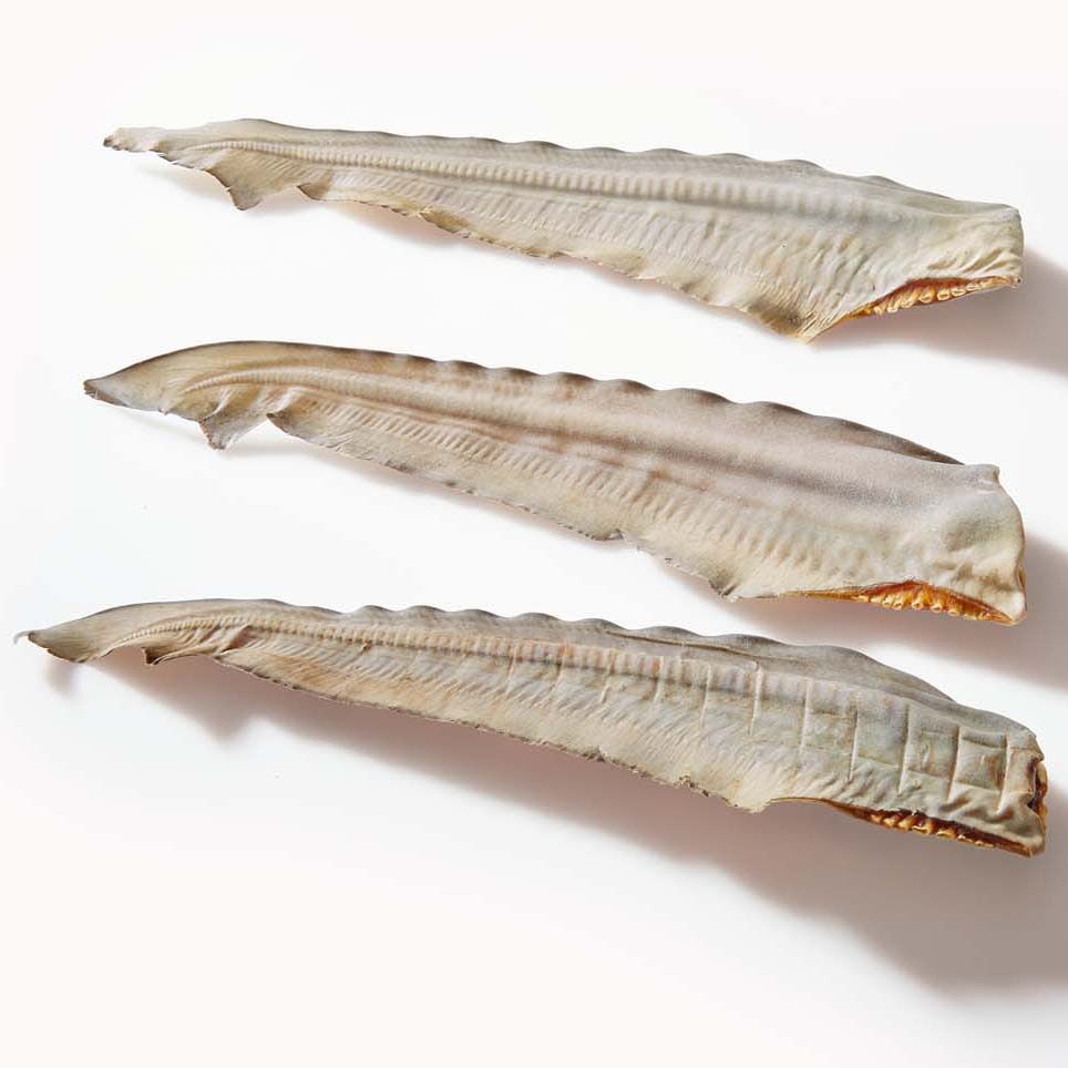 Dehydrated Shark Tail Individual