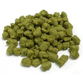 Salmon and Alfalfa Training Treats 100 gram bag